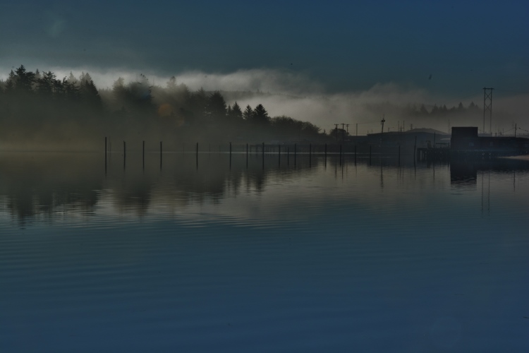 fog on harbor water